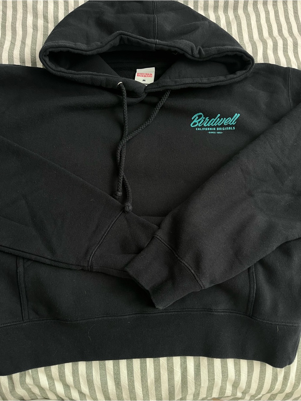 Birdwell Black Hoodie with Teal Logo - Men's